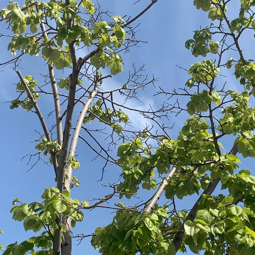 Mei Kawajiriさんのインスタグラム写真 - (Mei KawajiriInstagram)「I went to outside( not super market )today first time since lock down start.  As soon as I saw bridge , building , river , Made me smile and remind me my first day of NY 💗 NY is extremely crazy for corona now, But I LOVE NY so much and hasn’t changed that feeling since I moved to NY💙🌉🗽⛴ Special place NY for only special people 💕 #stayhome #staynewyork 🗽❤️ #nailsbymei #iloveny #jerryfrenchnails」4月20日 7時02分 - nailsbymei