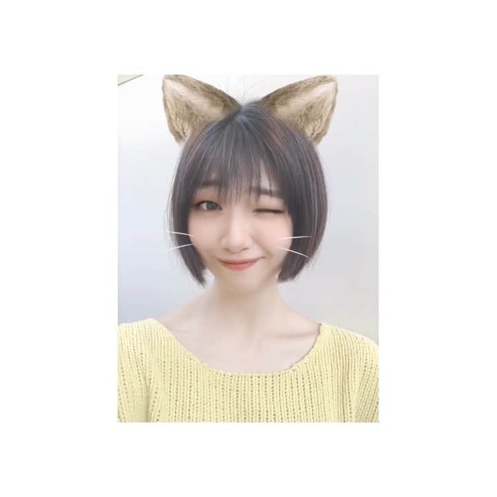 須田スミレのインスタグラム：「🦊🐱 #STAYHOME」