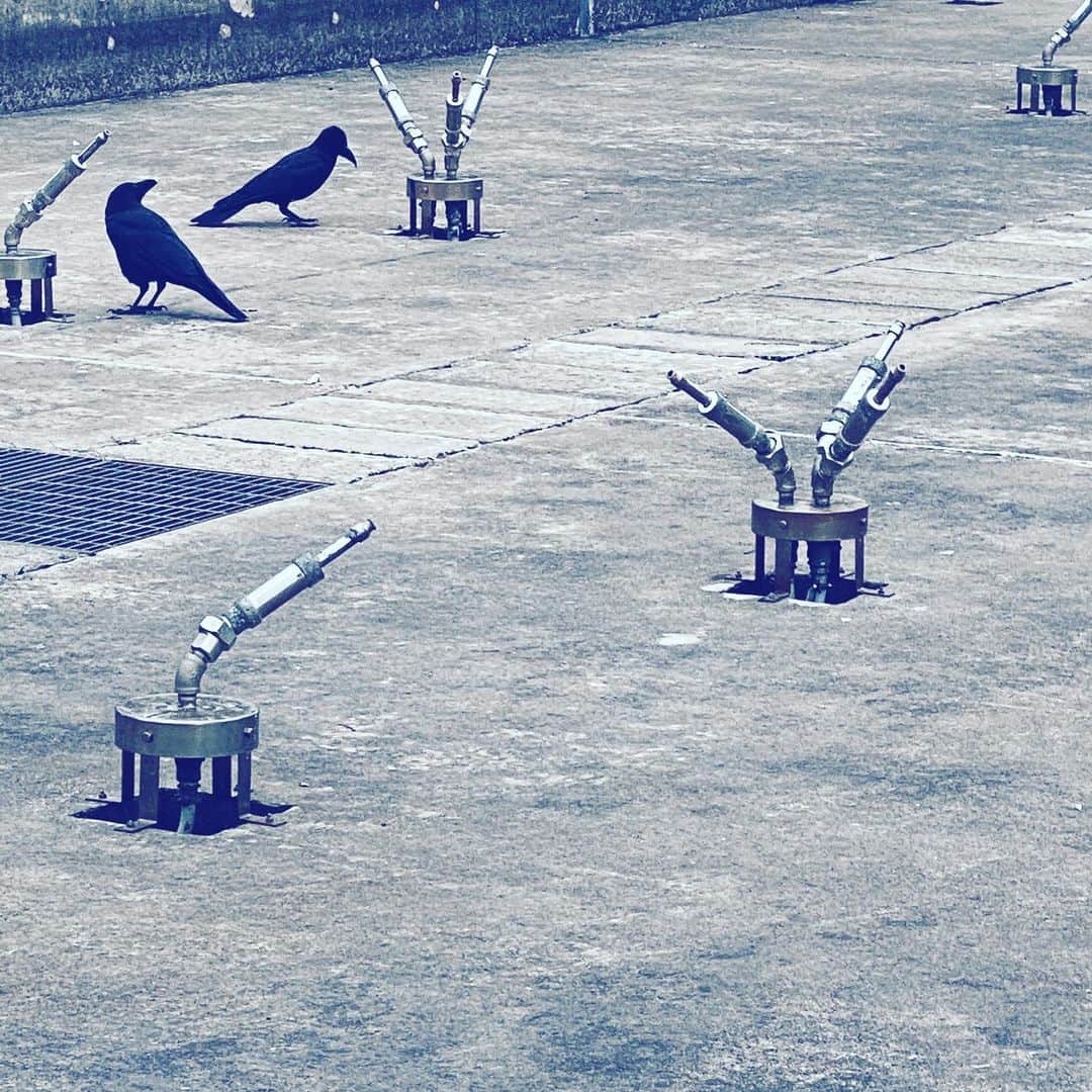 中野敬久のインスタグラム