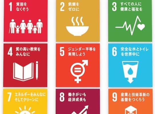 布施柚乃さんのインスタグラム写真 - (布施柚乃Instagram)「♻️﻿ ﻿ LUJで取り組んでいる「SDGs」について☻﻿ ﻿ ﻿ SDGsとは持続可能な開発目標という意味で、﻿ 17の目標を元に・貧困をなくす・地球の保護・平和と豊かさを享受できるようにする﻿ を目指す活動のこと！﻿ ﻿ 私たちが今直接できることって限られているけど、﻿ ﻿ まずこのSDGsについての知識を頭に入れたり﻿ 私たちがLUJ finalistが載せてる投稿、などをシェアして拡散するだけでも﻿ 1人1人の意識で変えられる未来があるんじゃないかな☻﻿ ﻿ ﻿ 一緒にお勉強しよ🥳﻿ ﻿ ﻿  #ladyuniversejapan #ladyuniverse #ladyuniversejapan2020 #ladyuniverse2020 #レディユニバースジャパン #レディユニバース #レディユニバースジャパン2020 #レディユニバース2020 #ミスコン #ミスコンテスト #ブルガリア #健康美 #充実したライフスタイル#私たちにできること#貧困#SDGs#LUJ#勉強#少しずつ#投稿していきます」4月20日 10時09分 - yuno.fuse