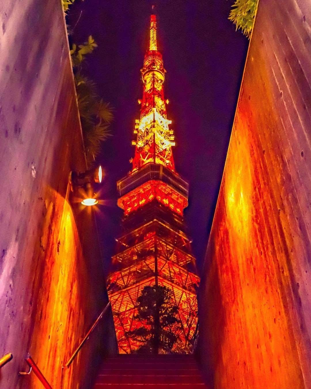 AirAsia (公式) のインスタグラム：「✈︎ Tokyo tower×Night×lighting-up  素敵なお写真ありがとうございます！ エアアジアでは、#エアアジア360 をつけて投稿された素敵な写真を紹介させていただいております❤️ぜひ、各就航地や機体などのお写真をInstagramでご投稿ください📸 ✈︎✈︎✈︎✈︎✈︎✈︎✈︎✈︎✈︎✈︎✈︎✈︎✈︎✈︎✈︎ (Photo by @yuima_ru3_ さん) スカイツリーのpicが続いたので東京タワー🗼定番スポットで😅 #東京タワー #東京タワー🗼  #東京夜景 #夜景 #フォトスポット #フォトジェニック #フォトジェニックスポット #カメラ好きな人と繋がりたい #写真好きな人と繋がりたい #誰かに見せたい風景 #誰かに見せたい景色 #tokyotower #tokyotower🗼 #japan #tokyo #nightview #nightphotography #tower #nightgram #instajapan #instagramjapan #nightlights #nightcity #tokyocameraclub #canoneos6dmark2 #夜景ら部 #広がり同盟 #東京カメラ部 #flysas」