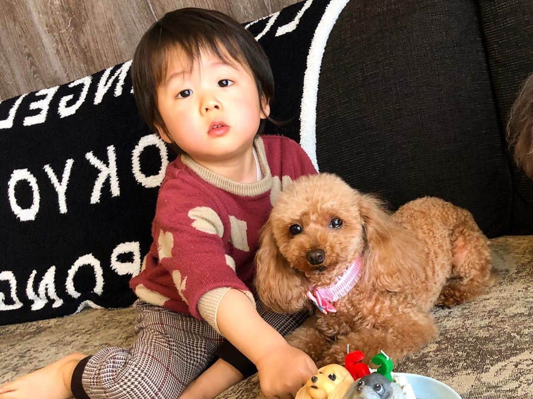 Tomoyaさんのインスタグラム写真 - (TomoyaInstagram)「先日行われた誕生日会🎂🎊🎉 らむ、6歳 おこげ、3歳  いつもありがとう☺️🌈 #らむとおこげ #happybirthday  #つまみ食い太郎」4月20日 20時03分 - tomo_10969