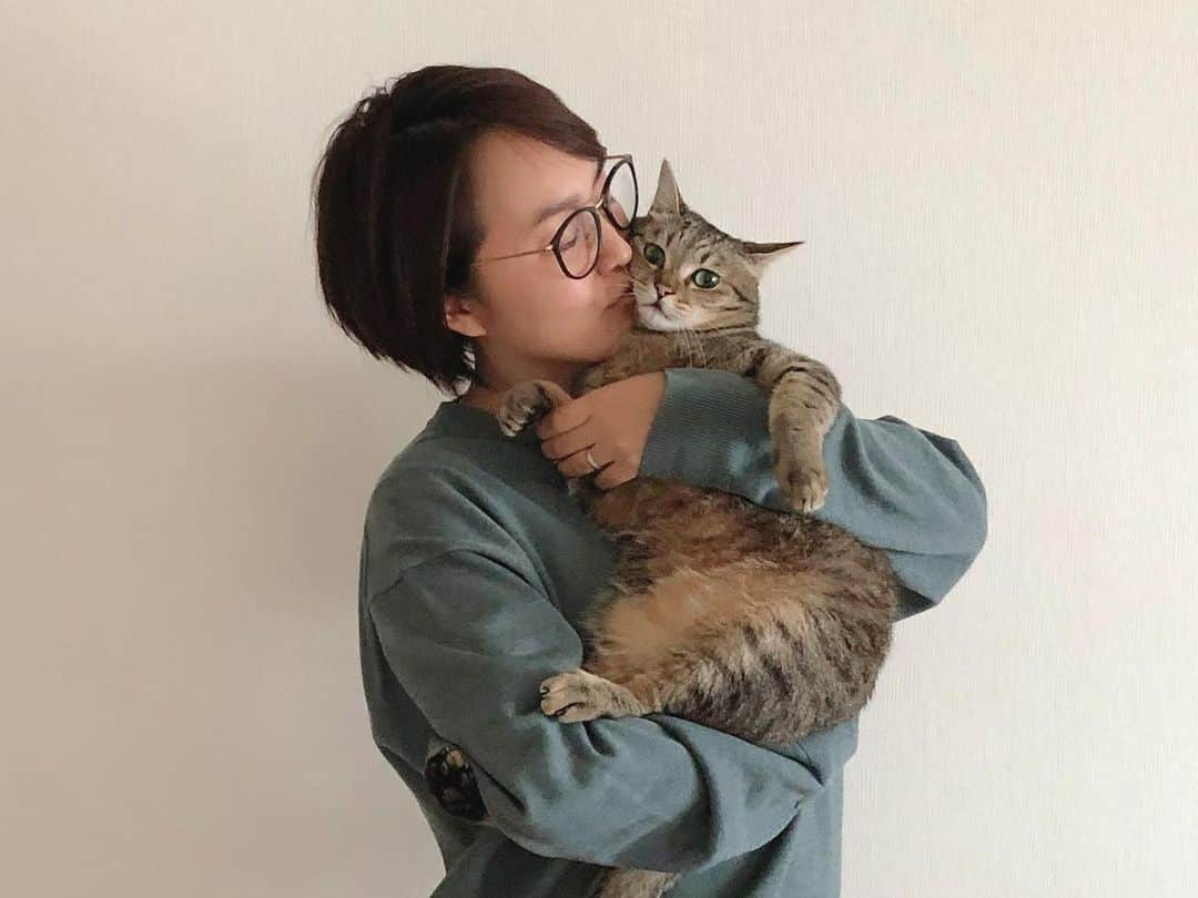 中山美香さんのインスタグラム写真 - (中山美香Instagram)「今日も猫吸い☺︎ . . . #ちゃんた1169日目 #猫 #ねこ #愛猫 #保護猫 #cat #cats #chat #ilovecat #instacat #catlover  #cute #browntabby #catoftheday #mignon #catsofinstagram #catstagram  #love #被災猫 #キジ猫 #キジトラ #猫との暮らし」4月20日 20時26分 - mika5nakayama