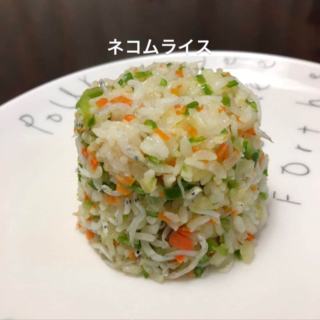 雨月衣のインスタグラム