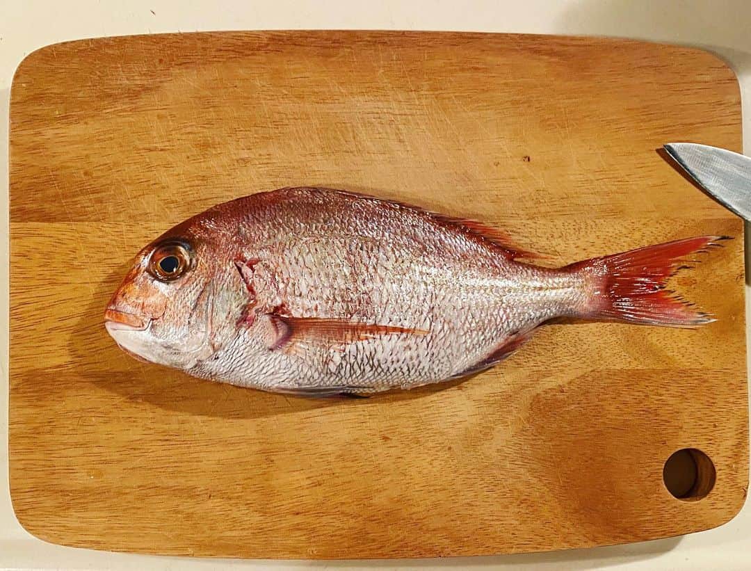 小鳥遊しほのインスタグラム：「コレをこうしてこう！スーパーで580円で買ってきた真鯛を捌いて刺身→めっちゃ旨い。残りの部分は煮付け→めっちゃ旨い2。  ちなみに私、生の海鮮系の調理とかあまり触れてこなかった人生だからお魚捌くのはめちゃくちゃ初心者。笑  切り方も盛り方もたぶん間違ってるけど、ひとまず3枚におろすとかどこが食べれる食べれないとか、骨の取り方みたいなのとか、そういうのを楽しんでます。  今のこの期間をどう使うか。それは私次第あなた次第みんな次第。  #小鳥飯 #stayhome #おうち時間 #魚 #真鯛 #魚を捌く #料理 #刺身 #煮付け #海鮮」