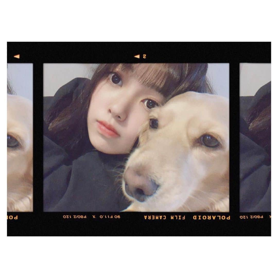 山内祐奈さんのインスタグラム写真 - (山内祐奈Instagram)「🐩💗✨」4月20日 21時17分 - yuna_hkt48