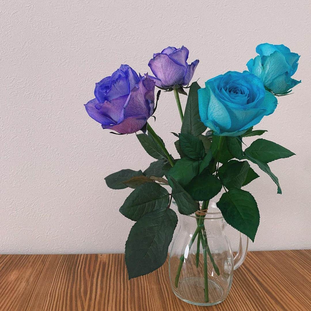 sayocoのインスタグラム：「雨だけど華やかに🌹💙💜 #stayhome #roses」