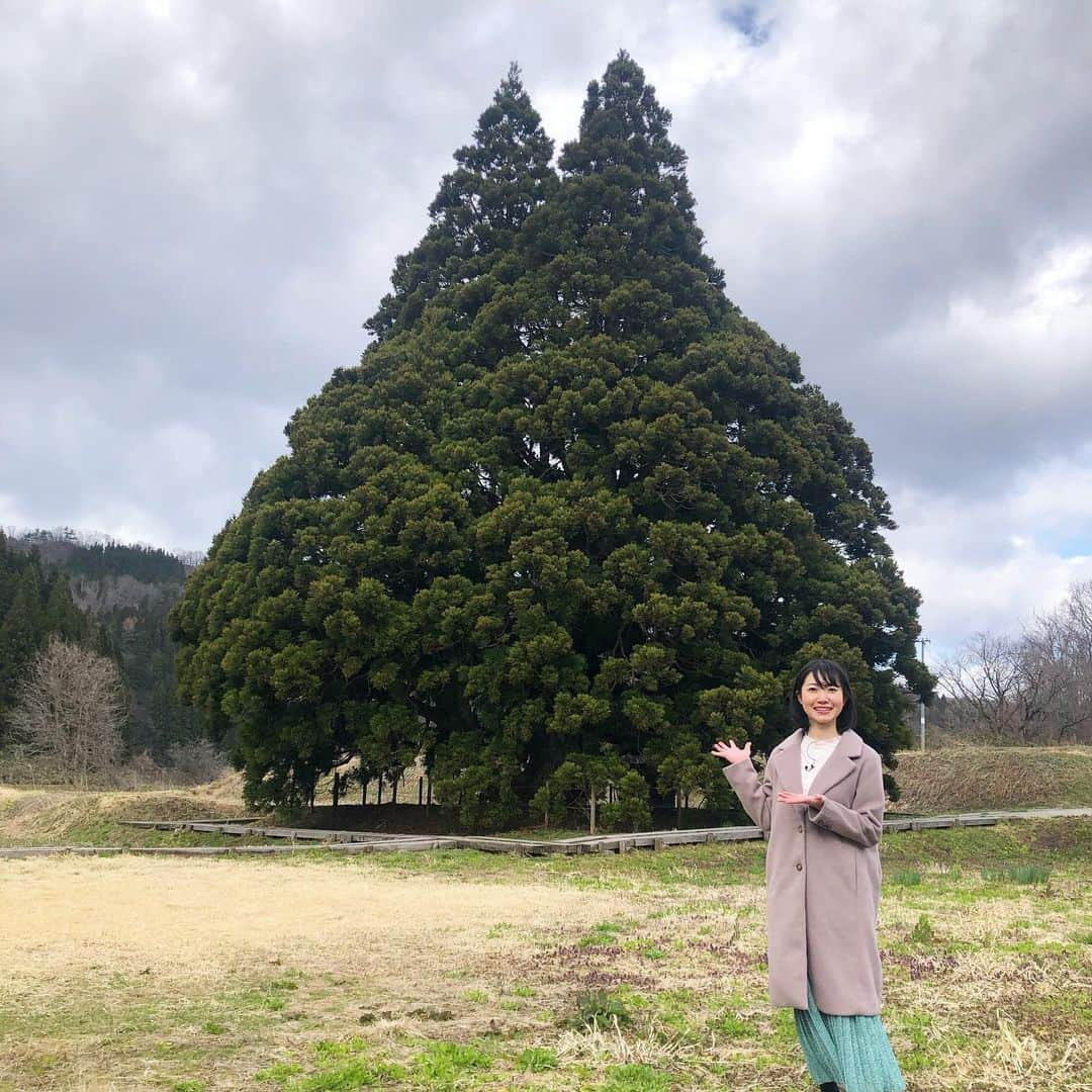 菅原智郁のインスタグラム