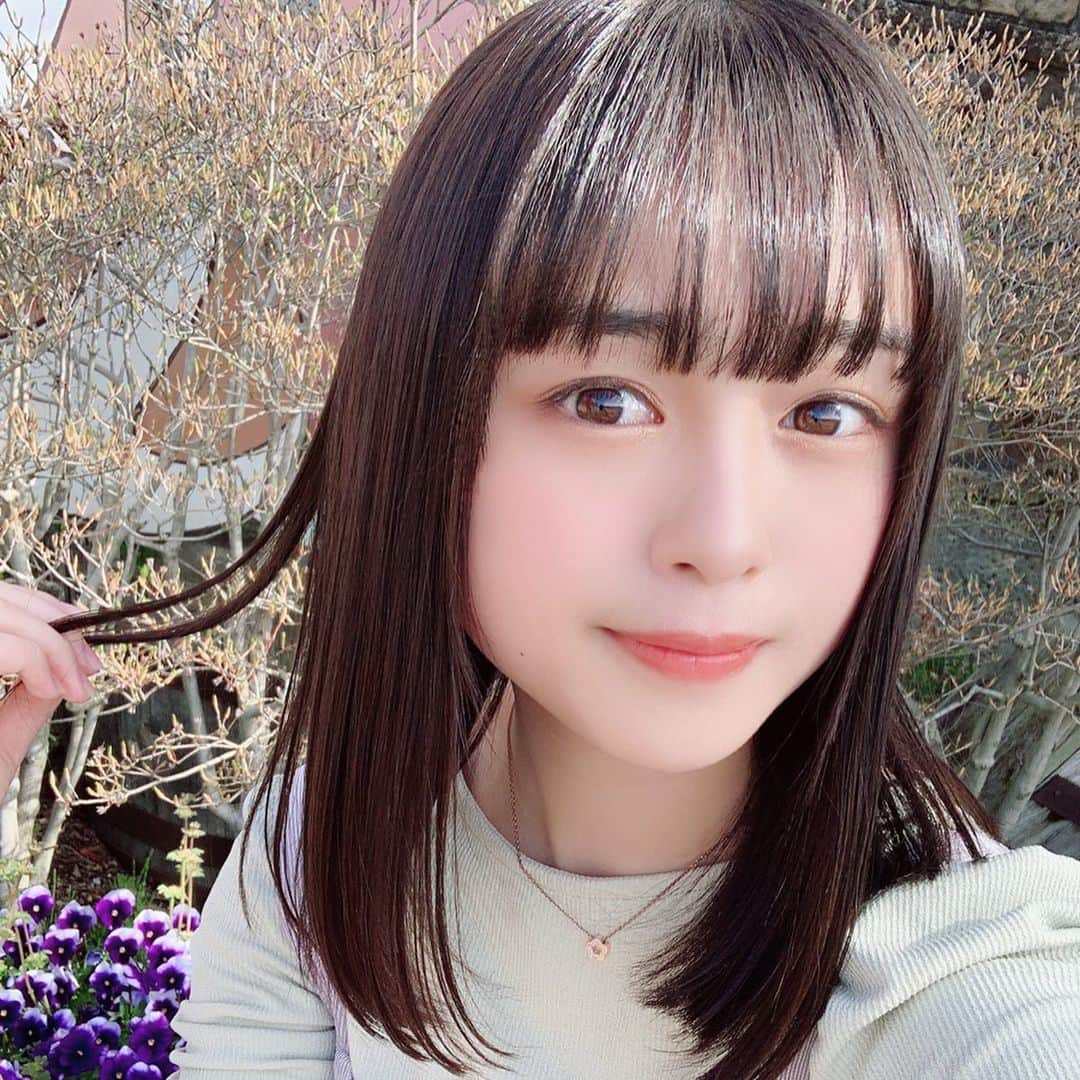 依田彩花さんのインスタグラム写真 - (依田彩花Instagram)「春っていいね٭❀* ・ ・ ・ ・ #sjk #16歳 #高校生 #春 #ボブ #ショートボブ #アイドル #フォローミー」4月20日 13時15分 - ayaka.yoda_box