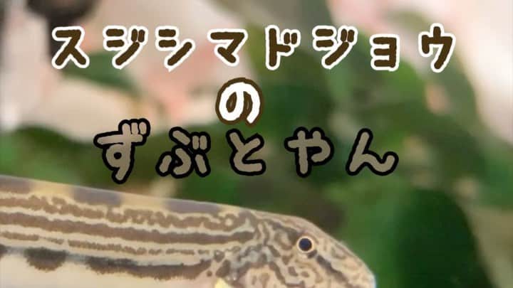 佐久間一行のインスタグラム