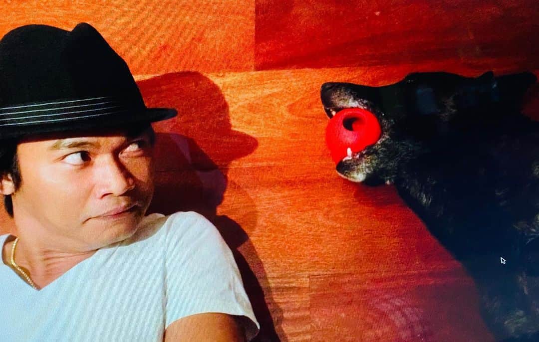 トニー・ジャーのインスタグラム：「I'm not john wick😃😃😃!!!!」