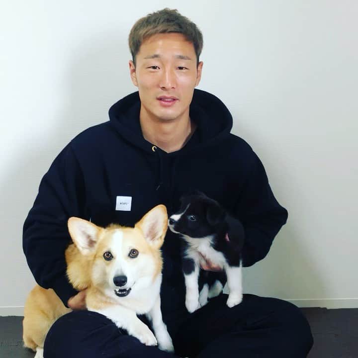 田上大地のインスタグラム：「菊池大介(@kikudai0412 ) 高木善朗(@yoshiaki_takagi33 ) から熱男リレーのバトン受け取りました🔥 大変な時期が続いていますが、目標を見失わず、一歩一歩進んで行きましょう👍 #熱男リレー #松田宣浩 (@match___3 ) #bondsjapan #bondsjapan38 #3838 👇次はあなたの番です👇 @nakaharashogo0519  #中原彰吾 @kohei_tezuka  #手塚康平」