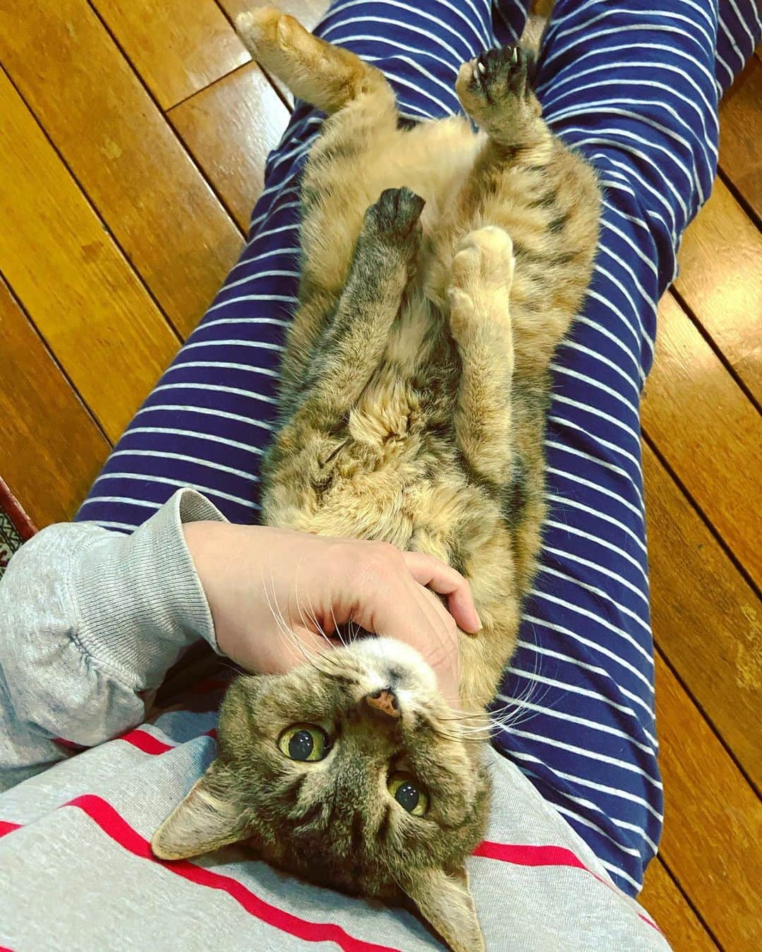 おおたうにのインスタグラム