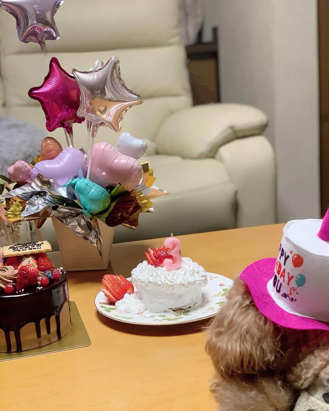 優ひかるのインスタグラム：「日々心が落ち込んでしまうようなニュースが﻿ 飛び交っていますが…﻿ 皆様お体如何でしょうか？﻿ ﻿ 私は毎日元気に過ごしてます✨﻿ ずっと気になっていたのに時間がなく 見れていなかった﻿ 海外ドラマを観るのに忙しい日々です🤣笑﻿ ﻿ 昨日愛犬ぺろちゃんの3歳のお誕生日でした🎂﻿ 親バカな内容になります…笑﻿ どうぞお付き合いくださいませ…﻿ ﻿ あまりお出かけできないので﻿ 今年はお家で誕生日パーティー🎂🎉﻿ ﻿ 母も実は同じ誕生日ですので﻿ 合同誕生日会になりました✨✨﻿ ﻿ ﻿ 今年はぺろちゃんの﻿ お誕生日ケーキを手作りしてみました✨﻿ 焼き芋と苺と豆乳ホイップクリームで﻿ ワンチャンでも食べれるケーキです🎂﻿ ﻿ るるちゃんもおめかしして﻿ 2人で仲良く食べてました✨✨﻿ ﻿ ぺろちゃんが子犬の頃着てた﻿ 洋服をるるちゃんが着てます😊﻿ ﻿ ぺろちゃん達で皆様の心が癒されますように✨﻿ ﻿ #ぺろすたぐらむ#トイプードル﻿ #親子#誕生日#手作りケーキ#子犬﻿ #ぺろるる#癒し#犬も家族#多頭飼い」