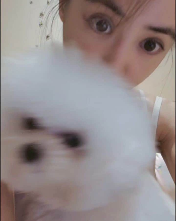 ジョリン・ツァイのインスタグラム：「@bichon_whoohoo 玫瑰同齡眼」