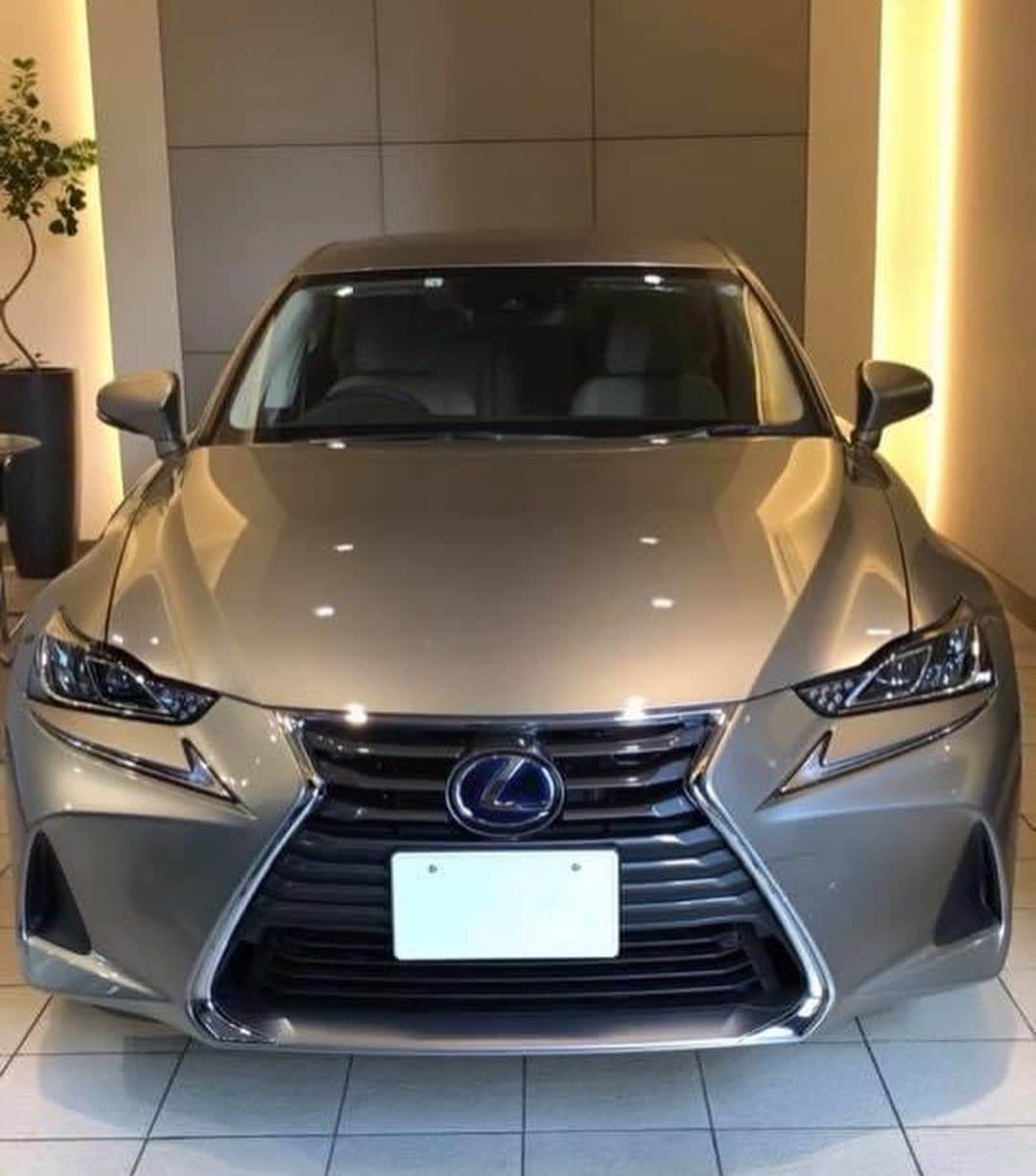 楽しんごのグルメインスタ