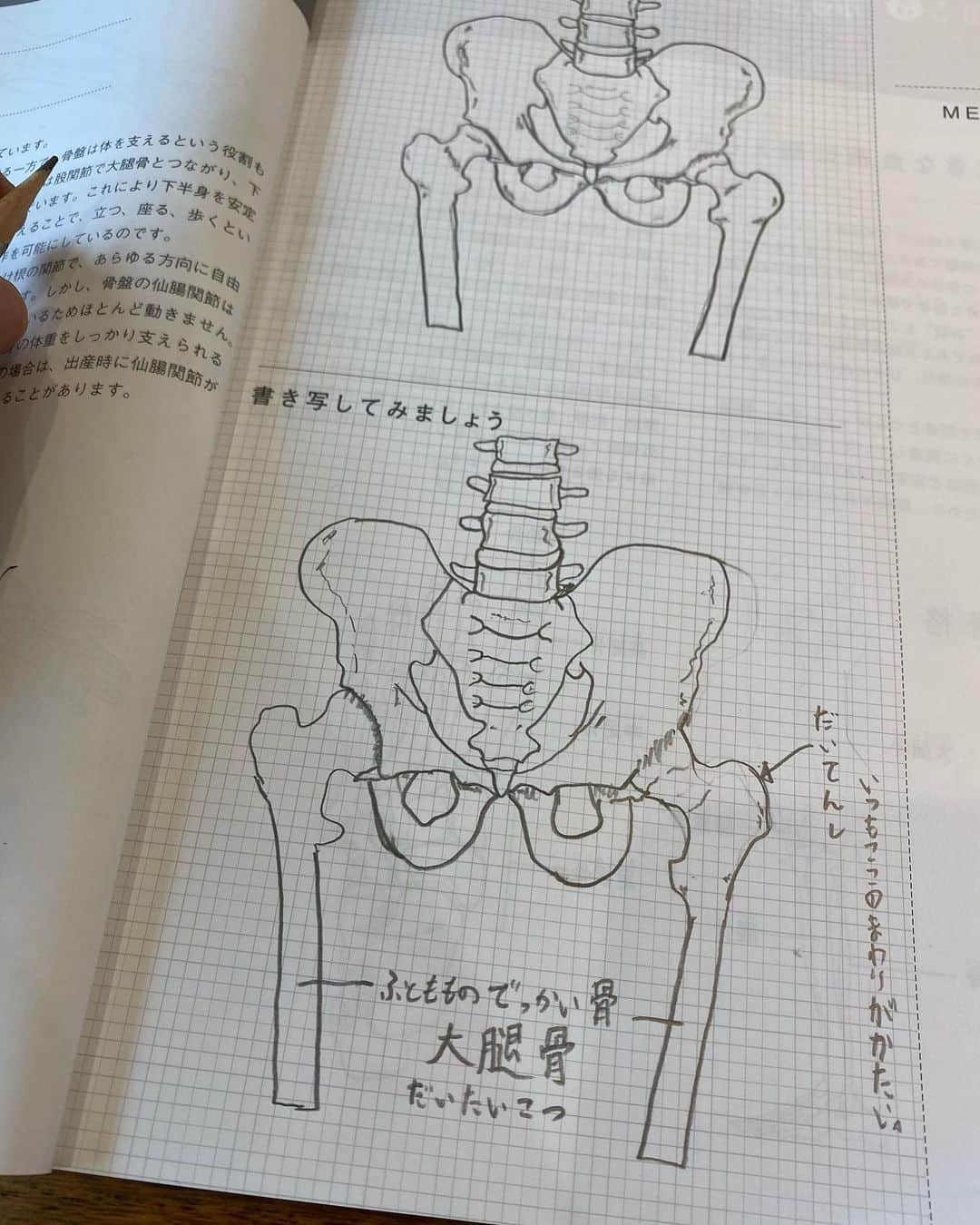 のインスタグラム：「骨盤、股関節周り〜。 自分の身体の中でとても重要な場所。 体調の好不調に本当に重要な場所です！！ #お家時間　#勉強　#骨盤　#股関節」