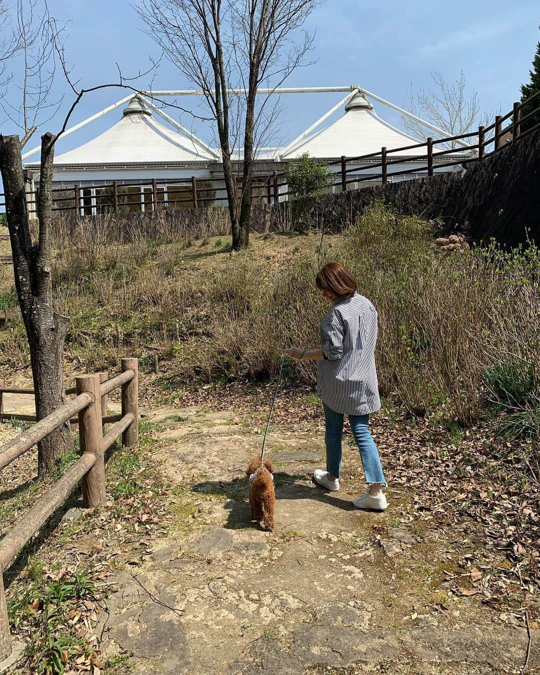 藤咲えりさんのインスタグラム写真 - (藤咲えりInstagram)「随分前だけど、、、 ペアルックみたいでした（親バカね） 　#トイプードル#散歩」4月20日 16時00分 - eri_fujisaki91