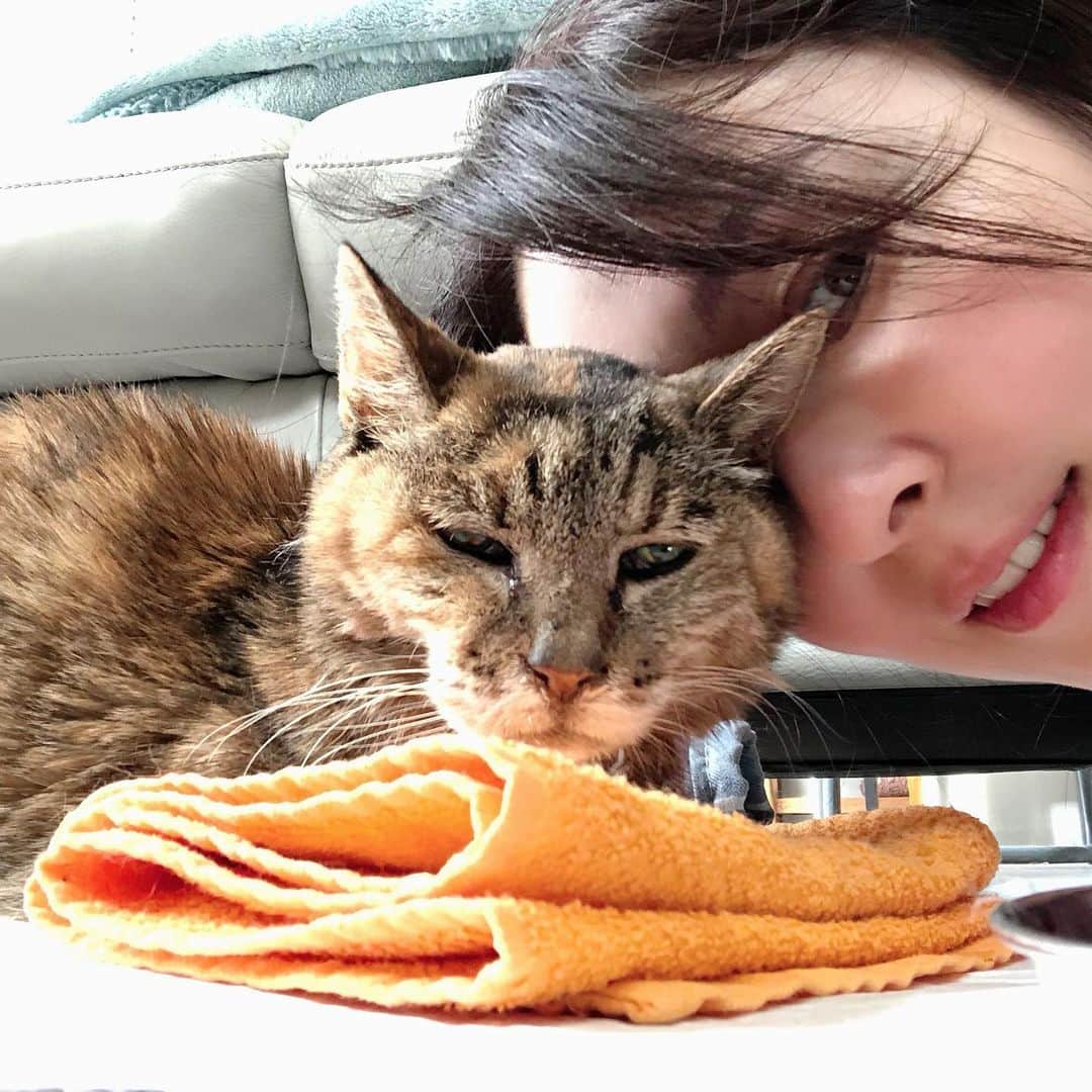 小松みゆきのインスタグラム：「記事のタイトルからは分かりにくいですが﻿ これまでの不妊治療のことと﻿ 猫を飼い始めた経緯について﻿ 取材していただきました﻿ ﻿ ﻿ 初めて話したことばかりです﻿ ご一読くだされば嬉しいです﻿ ﻿ ﻿ https://headlines.yahoo.co.jp/hl?a=20200420-00010004-encount-ent﻿  #ENCOUNT #Yahooニュース #不妊治療 #猫 #保護猫活動」