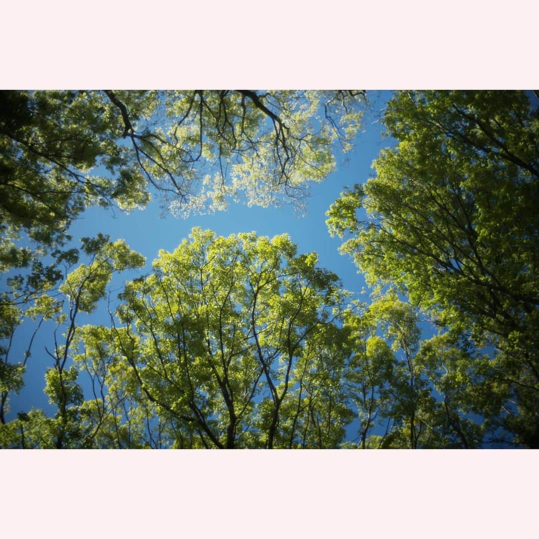 のインスタグラム：「きのう見た空。  #leica#leicam10p#summilux#summilux35#summilux35mm2nd#oldlens#ライカ#ライカm10p#ズミルックス#ズミルックス35mm#オールドレンズ#tokyo#japan#oldlens_tokyo」