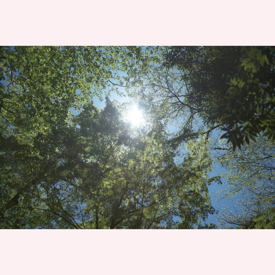 のインスタグラム：「きのう見たお日さま。  #leica#leicam10p#summilux#summilux35#summilux35mm2nd#oldlens#ライカ#ライカm10p#ズミルックス#ズミルックス35mm#オールドレンズ#tokyo#japan#oldlens_tokyo」