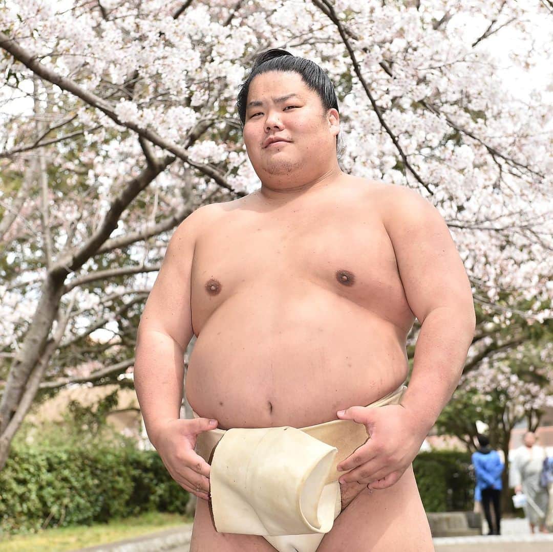 日本相撲協会さんのインスタグラム写真 - (日本相撲協会Instagram)「昨年の春巡業を振り返る🌸 ﻿ 昨年、奈良市で行われた春巡業の写真を振り返ります。﻿ ﻿ ・稽古後、風呂へ向かう朝乃山﻿ ・稽古後、廻しを干す錦木﻿ ・地元、奈良県で記者から質問に答える徳勝龍﻿ ・寒そうな表情の白鵬 ・令和元年５月場所新入幕の炎鵬と志摩ノ海。 ﻿ ・桜の木の下でポーズをとる大栄翔。﻿ ・稽古後に洗髪する、貴景勝。﻿ ・桜の前で撮影する、荒汐部屋の関取。 若元春、蒼国来(現・荒汐親方）、若隆景。﻿ ・桜の枝に触れる、碧山。﻿ ﻿ （撮影：2019.4.2 　ベースボール･マガジン社） ﻿ ﻿ #sumo #相撲 #力士 #大相撲 # #春巡業を振り返る #春巡業 #奈良市 #奈良場所 #炎鵬 #志摩ノ海 #朝乃山 #錦木 #大栄翔 #碧山 #貴景勝 #若元春 #蒼国来 #若隆景 #徳勝龍 #白鵬 #sumowrestling #sumowrestler  #japanculture #桜 #sakura #春 #お相撲さん #ならでんアリーナ」4月20日 17時47分 - sumokyokai