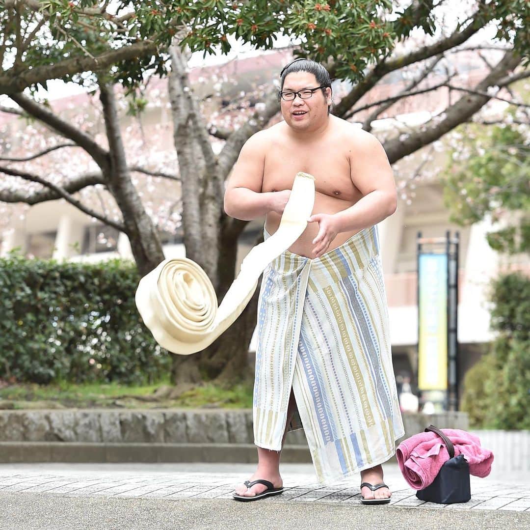 日本相撲協会さんのインスタグラム写真 - (日本相撲協会Instagram)「昨年の春巡業を振り返る🌸 ﻿ 昨年、奈良市で行われた春巡業の写真を振り返ります。﻿ ﻿ ・稽古後、風呂へ向かう朝乃山﻿ ・稽古後、廻しを干す錦木﻿ ・地元、奈良県で記者から質問に答える徳勝龍﻿ ・寒そうな表情の白鵬 ・令和元年５月場所新入幕の炎鵬と志摩ノ海。 ﻿ ・桜の木の下でポーズをとる大栄翔。﻿ ・稽古後に洗髪する、貴景勝。﻿ ・桜の前で撮影する、荒汐部屋の関取。 若元春、蒼国来(現・荒汐親方）、若隆景。﻿ ・桜の枝に触れる、碧山。﻿ ﻿ （撮影：2019.4.2 　ベースボール･マガジン社） ﻿ ﻿ #sumo #相撲 #力士 #大相撲 # #春巡業を振り返る #春巡業 #奈良市 #奈良場所 #炎鵬 #志摩ノ海 #朝乃山 #錦木 #大栄翔 #碧山 #貴景勝 #若元春 #蒼国来 #若隆景 #徳勝龍 #白鵬 #sumowrestling #sumowrestler  #japanculture #桜 #sakura #春 #お相撲さん #ならでんアリーナ」4月20日 17時47分 - sumokyokai