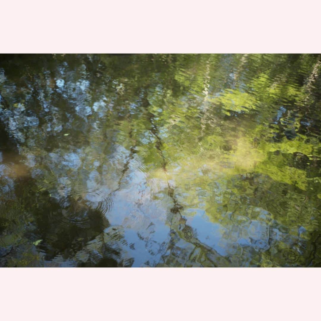 のインスタグラム：「きのう見た湧き水。 もしくはアメンボ。 (どっち)  #leica#leicam10p#summilux#summilux35#summilux35mm2nd#oldlens#ライカ#ライカm10p#ズミルックス#ズミルックス35mm#オールドレンズ#tokyo#japan#oldlens_tokyo」