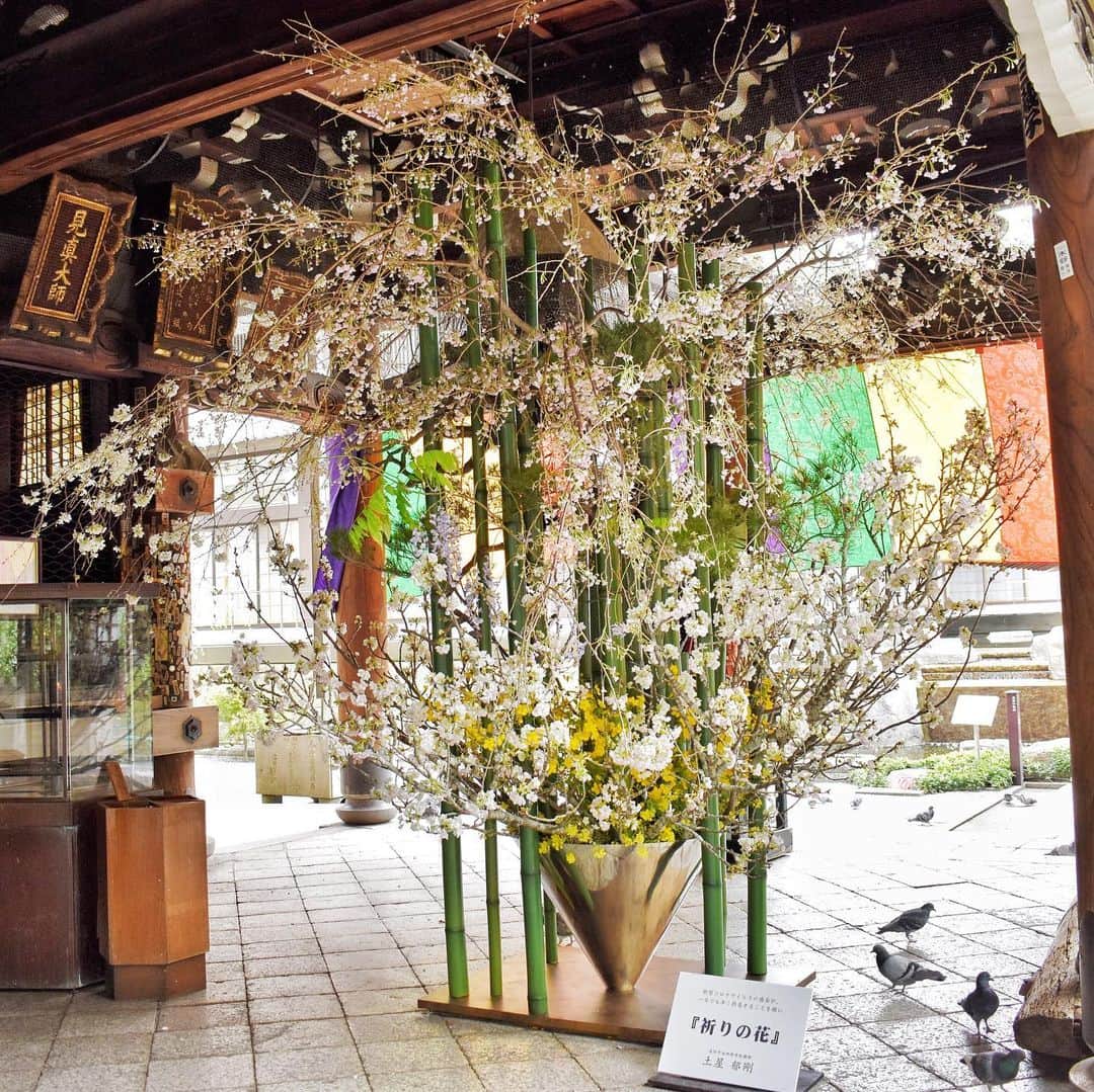 いけばな池坊のインスタグラム