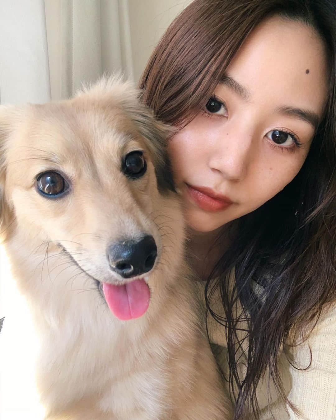 Shiho Sasakiのインスタグラム：「お家時間🏠 今まで、仕事の日はお留守番させてしまう事が多かったから ずっと一緒に過ごせて幸せ🐾 🐶はびっくりするくらい昼間はずっと寝てるけど💤 #おうち時間#愛犬」