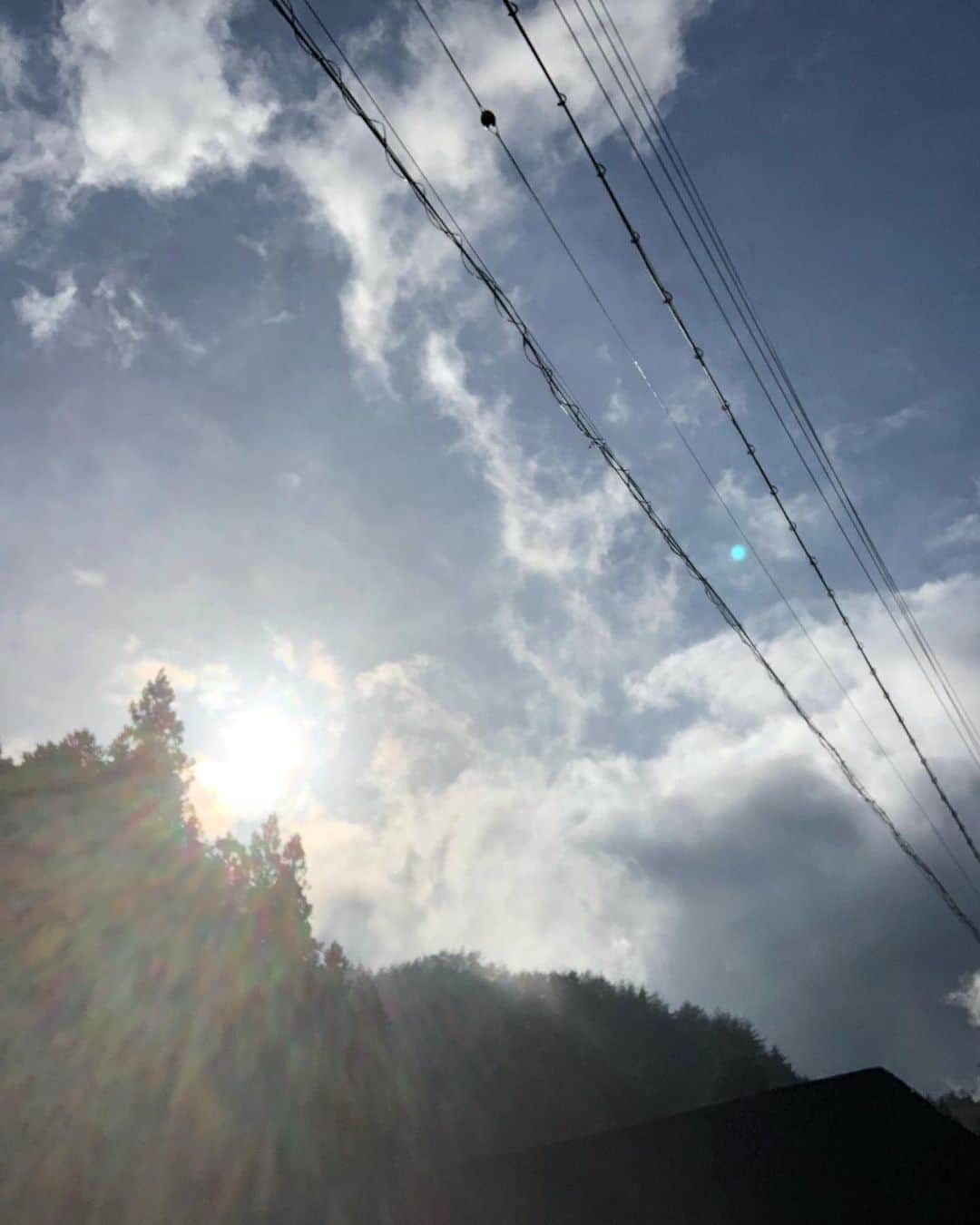 タテタカコさんのインスタグラム写真 - (タテタカコInstagram)「太陽が気持ちよかったです☀️」4月20日 19時20分 - tatetakako