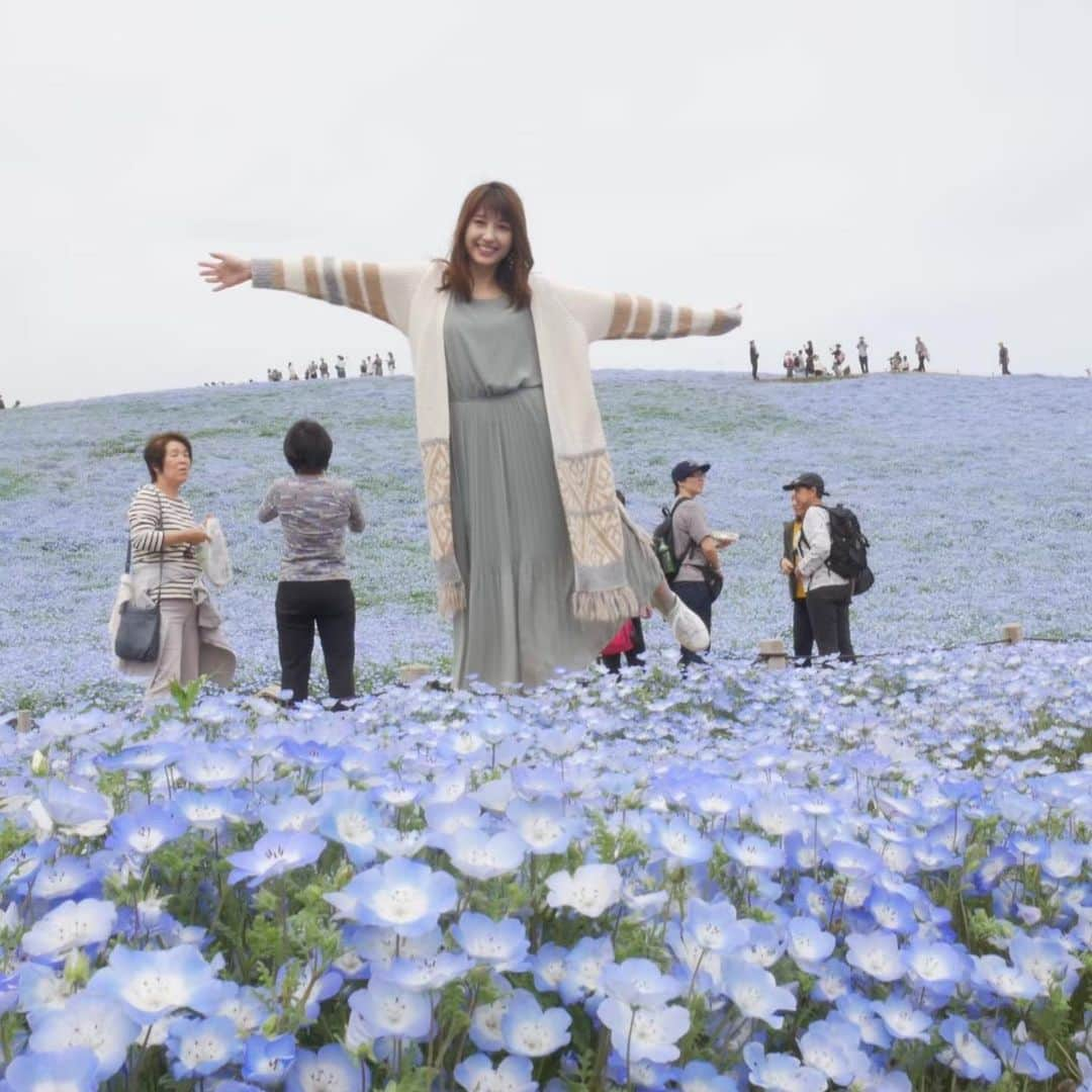 伊藤友里さんのインスタグラム写真 - (伊藤友里Instagram)「もう一度見たい景色🦋💙🦋 ・ ・ ・ 人の流れが途切れるのを待って撮るのがなかなか大変でした😂 後半はNG集…わたし楽しそう😂💓 #ネモフィラ  去年の #ひたち海浜公園  #stayhome #伊藤友里 #centforce」4月20日 19時25分 - ito_yuri_official