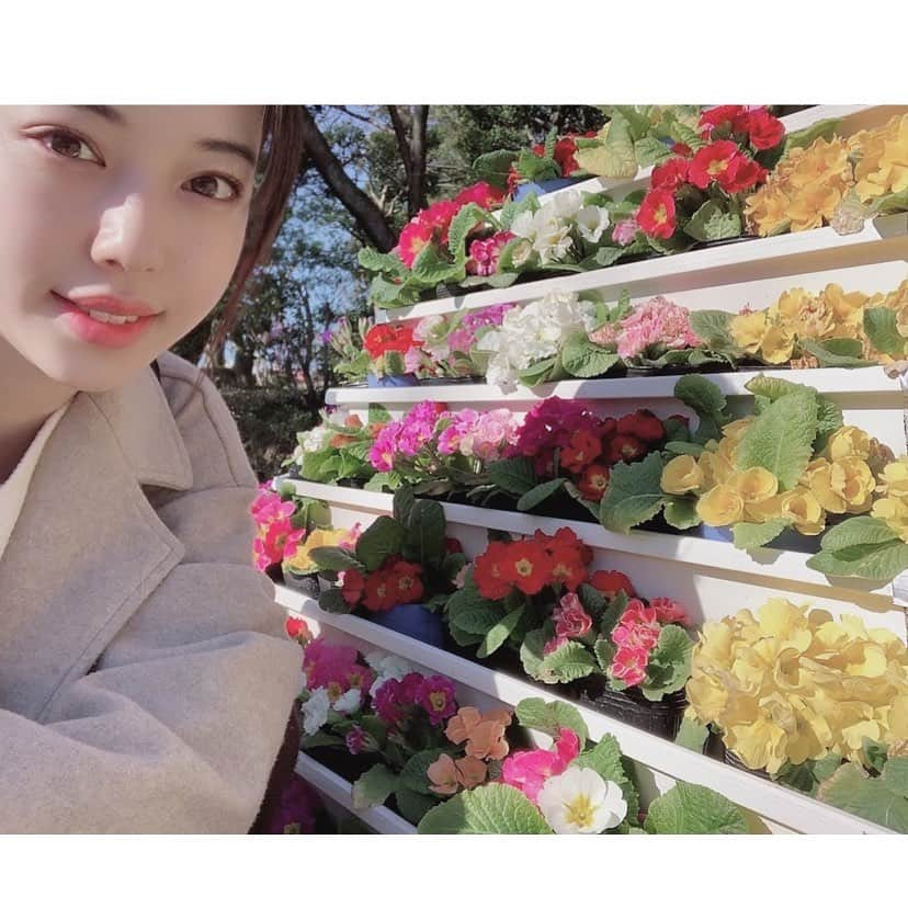 牧村里奈さんのインスタグラム写真 - (牧村里奈Instagram)「. 外出自粛前に行けた フラワーパーク🌸 . . . #訳あって#1人旅#顔が悲しげだもん #次は友達と行きたいぞって🥺」4月20日 19時47分 - m_rina28