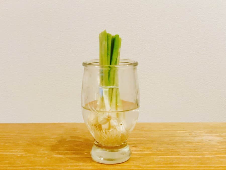 平田薫さんのインスタグラム写真 - (平田薫Instagram)「週末に食べすぎ飲み過ぎで、今日は参鶏湯(もどき)で胃を休め。 圧力鍋に放り込むだけだから楽でお気に入り。  ネギは、6日前に食べたネギの根っこを水につけて再生させたもの。🌱 何かを育てるという行為にハマり過ぎてなんでも育てようとしちゃう。 2回目再生させたい時は土に植えるのがいいらしいけれど、試しに、もう1ターンいけるかチャレンジ！！！ #かおる食堂#参鶏湯#風 #圧力鍋#再生ネギ」4月20日 19時55分 - hiratakaoru1215