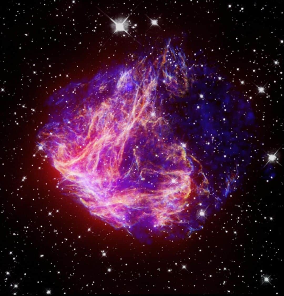 NASAさんのインスタグラム写真 - (NASAInstagram)「Hello. Us again. First things first: you’re doing great. Keep it up. Here, we even got you something.⁣ ⁣ This is the brightest supernova remnant in the Large Magellanic Cloud, a galaxy rich in gas and dust orbiting the Milky Way. Called N49, the supernova formed when a massive star used up all its hydrogen and exploded, sending an interstellar shockwave. Deep within these wisps is the star’s remaining core, a dense neutron star spinning at one revolution every eight seconds. By the time you read this sentence, the tiny star will have spun 3.5 times.⁣ ⁣ The image combines data from our Chandra X-ray Telescope (blue colors) and our Spitzer Space Telescope (red colors). Enjoy this image of the cosmos. You deserve it. Because hey now: you’re an all-star.⁣ 🌟 ⁣  Credit: NASA/CXC/STScI/JPL-Caltech/UIUC/Univ. of Minn.⁣ ⁣ #feelgood #supernova #universe #space #nasa #workit」4月21日 6時47分 - nasa