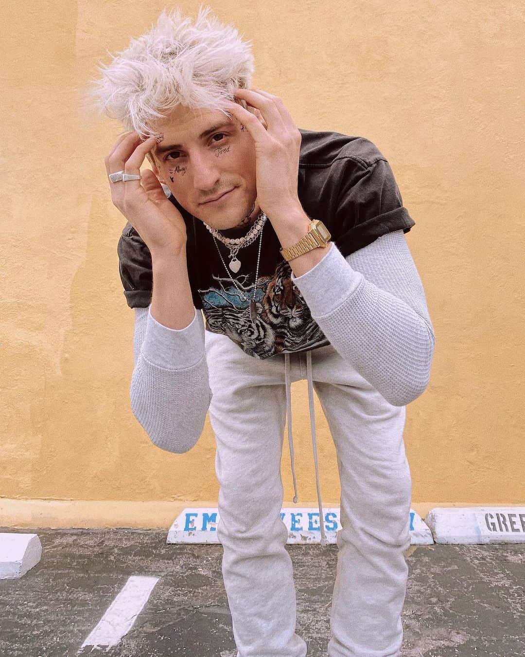 Mark Dohnerのインスタグラム：「quarantine is getting to me. decided to steal @postmalone’s identity & apply for a job at Joe Exotics. wish me luck in my next endeavor. 🐅」