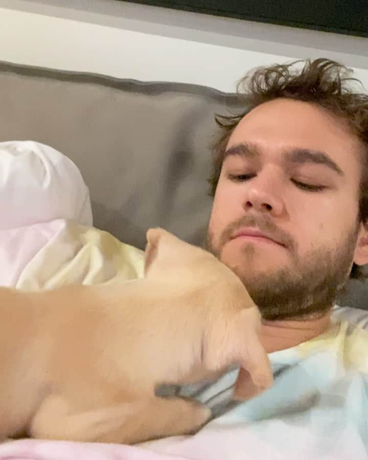 ゼッドのインスタグラム：「little pupdate from echo: she loves kisses, cuddles and biting my chin」