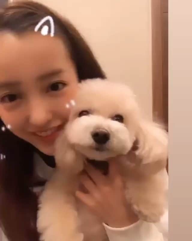 板野友美 ファンアカウントのインスタグラム：「💞 #itano #tomomi #itanotomomi #tomochin #itanotomomifansina #teamtomo #tomochin #artist #model #singing #jepang」