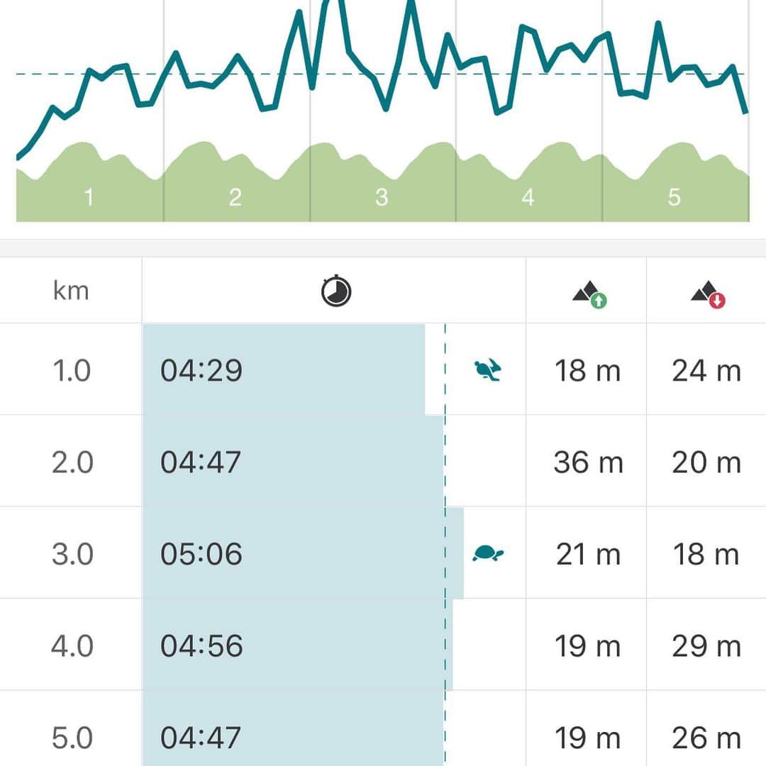 DJ MIYAさんのインスタグラム写真 - (DJ MIYAInstagram)「こんばんはぁ💓❤️昨日は、またいつもの大きな公園をrunning 5km 走りましたー！！❤️ . .  5km 24:13分钟💓(^ ^) . .  走るのって楽しすぎっっっ。 . . . 楽しかった💗💓❤️ . . . .  #ランニング大好き  #running #有酸素トレーニング #有酸素 #走るの好き #健康  #フィットネス女子 #ランニング好き  #スポーツ #筋肉女子 #筋トレ女子 #トレーニング #ワークアウト #workout #ワークアウト女子 #fitness  #フィットネス  #ランニング #スポーツウェア #ヨガレギンス  #フィットネスウェア #トレーニングウェア #ビュースタグラマー #今日のコーデ #インスタグラマー  #腹筋女子  #美容 #日本体育大学 #日体大 #すっぴん」4月20日 22時22分 - dj_miya