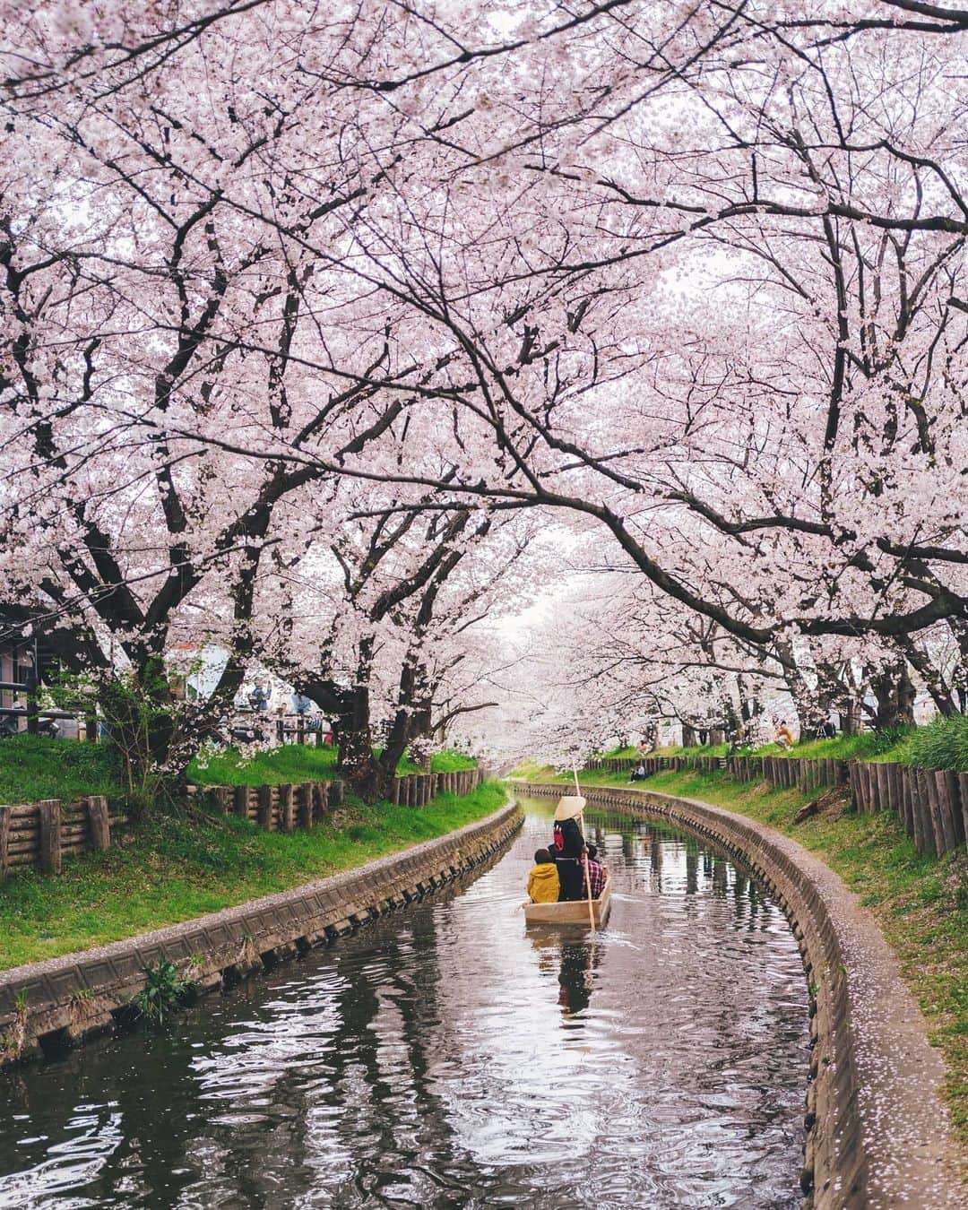 福田洋昭のインスタグラム：「Down memory lane 🛶」