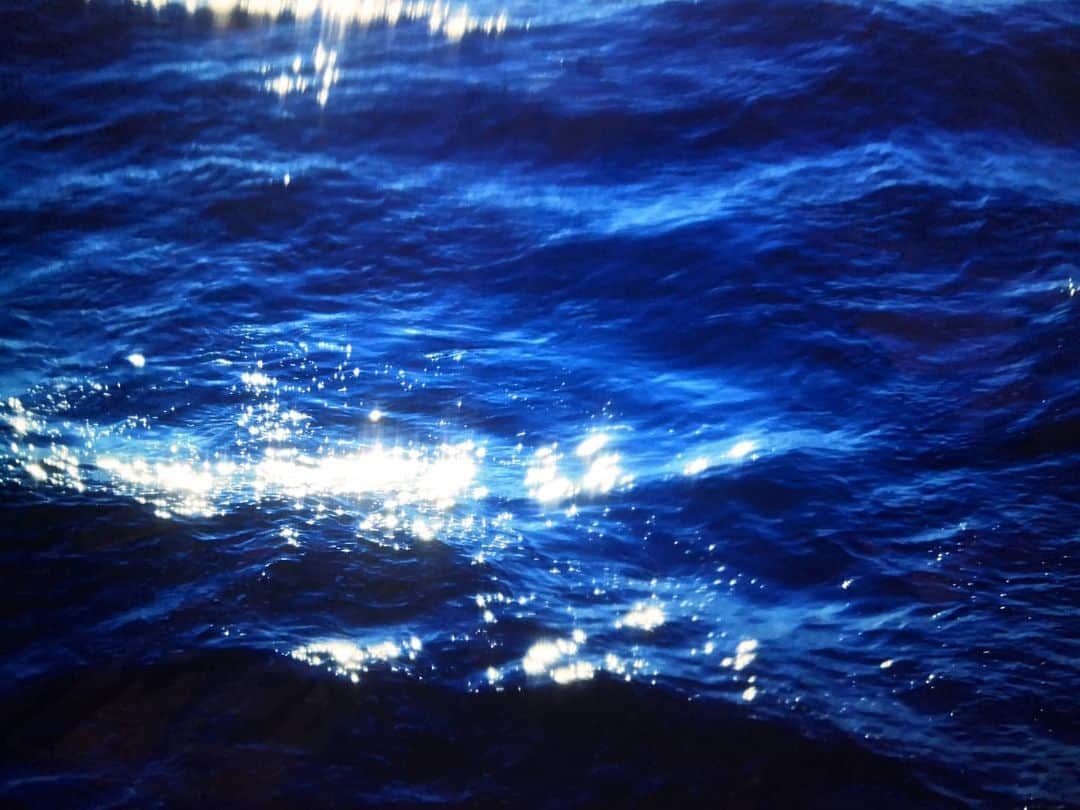 大塚咲さんのインスタグラム写真 - (大塚咲Instagram)「海は好き、怖いから。  #artwork #photo」4月20日 22時31分 - otsukasaki_