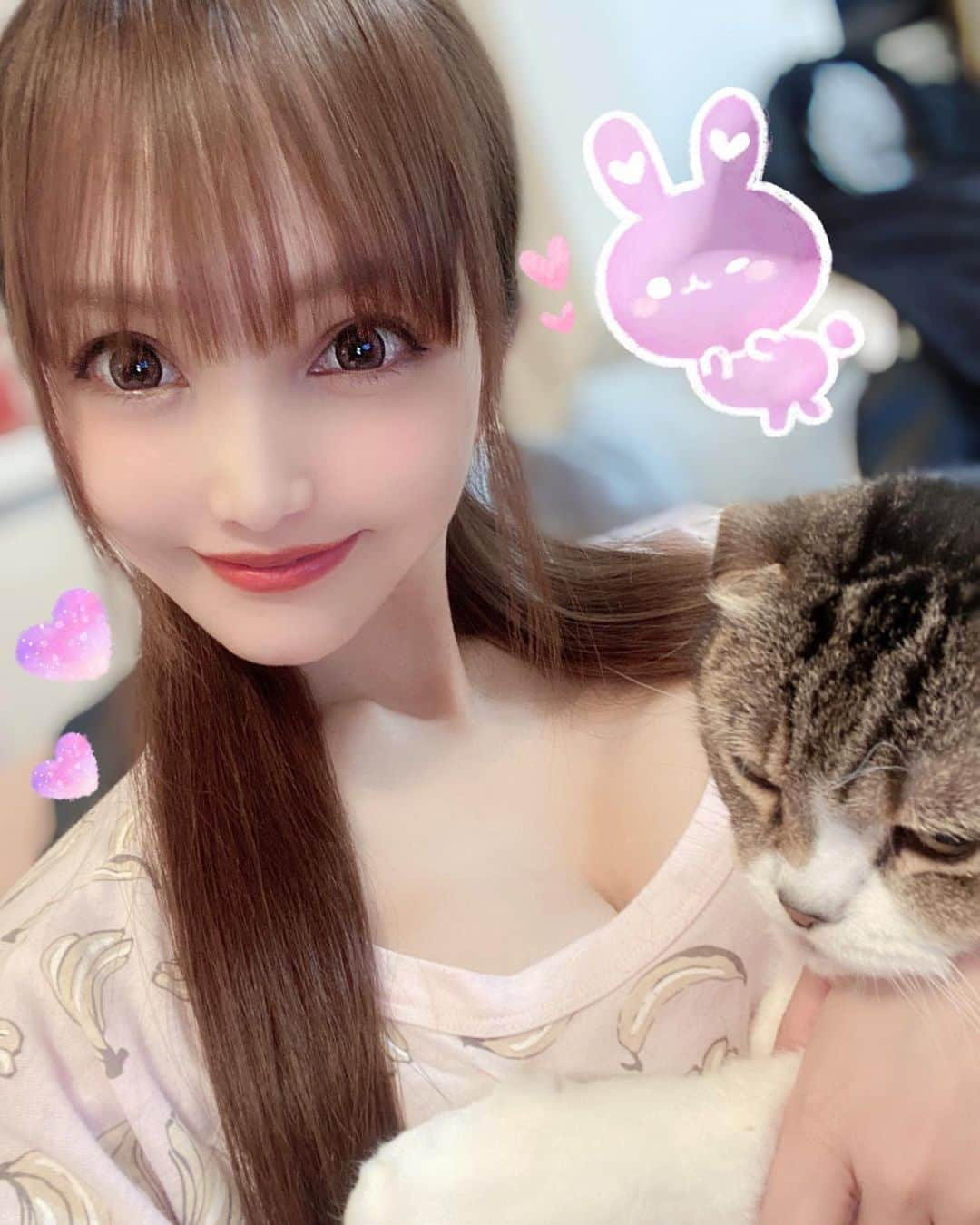 宇佐美あいりさんのインスタグラム写真 - (宇佐美あいりInstagram)「ポコチャ配信今日もありがとうございました😊みんなとまったりお話できて楽しかったです♡おやすみ😘💕#ポコチャ#pococha#おいちでポコチャ#配信#動画配信#愛猫#猫#ねこ#cat#고양이#pet#スコティッシュフォールド#귀여운#可愛い#デブ猫#にゃんすた#にゃんすたグラム#みんねこ#ねこ部#ねこのきもち#猫好き#love#ねこ猫との暮らし#ねこ動画#catstagram#猫好き女子#コロナ#コロナ対策#自粛生活#followme」4月21日 0時33分 - airi.usami_official