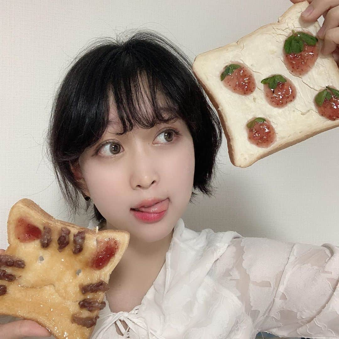 小林穂乃香さんのインスタグラム写真 - (小林穂乃香Instagram)「食パンアートしてみた🍞‬﻿ ネコパンとイチゴパン。どっち派？﻿ ﻿ ﻿ ﻿ ﻿ ﻿ #トースト #おうちごはん #toast #foodporn #kurashiru #cookpad  #グラビア #グラビアアイドル #水着 #アイドル #恵比寿マスカッツ #研究生 #ミスコン #フォロワー募集中 #ヘアメイク #メイク #攝影 #人像攝影 #拍照 #惠比壽麝香葡萄 #팔로우미 #여행 #먹스타그램 #풍경 #idol #japan #makeup #followme #stayhome」4月21日 0時34分 - 39noka