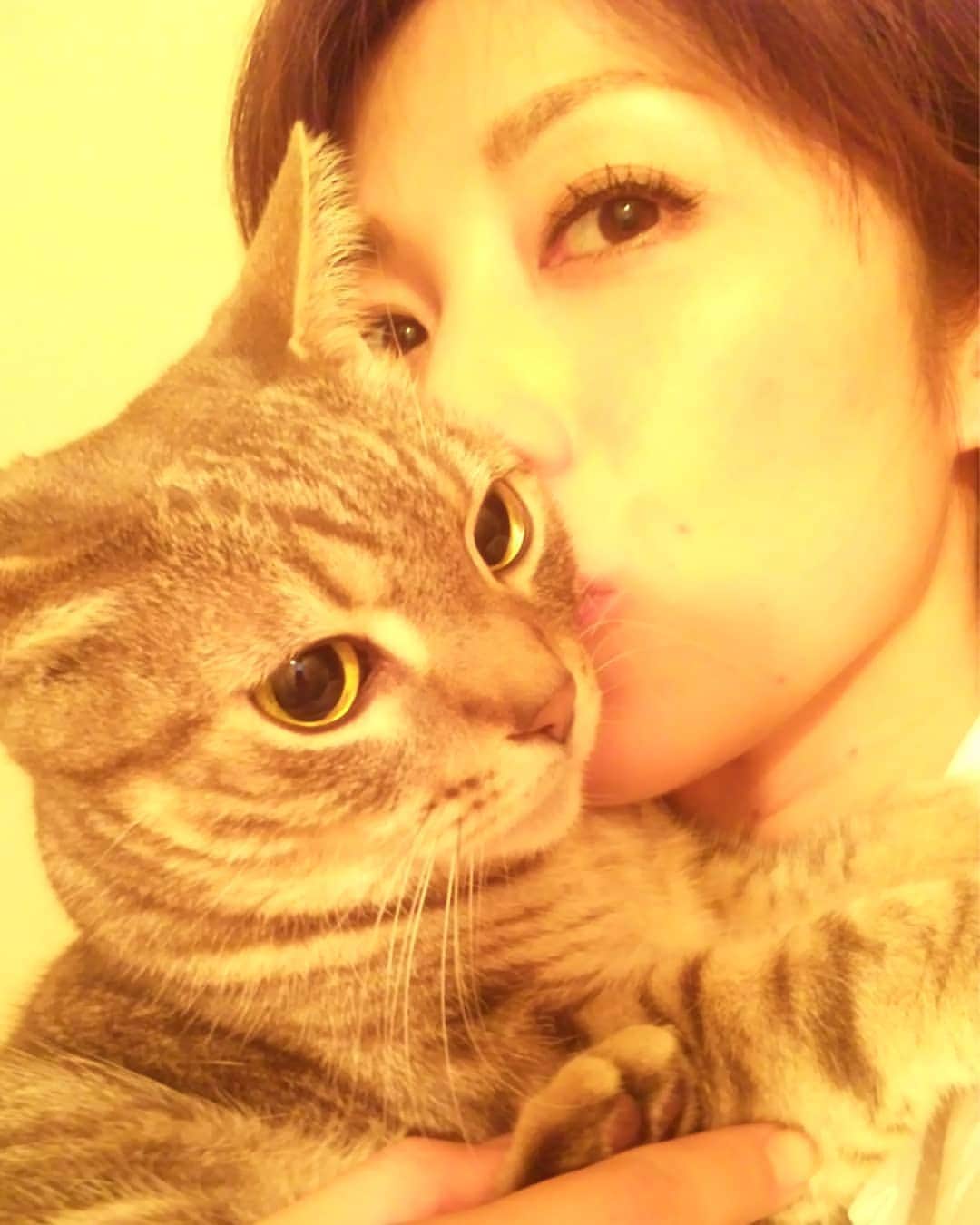 のインスタグラム：「4/21(火)19:00～20:57『クイズ！オンリー１』(TBS系)に出演します🔔 様々なジャンルのクイズや挑戦の中で、私は猫クイズにチャレンジ🐱 猫に関する基本的なことから、もう笑うしかないくらいの超難問まで‼️😂 それよりもなによりも、出題のたびにカワイイ猫映像に癒されるんです😻 あ～、やっぱり猫が好きだわ❣️❣️ #出演情報 #クイズ番組 #tbs #猫 #猫好き #今はお空のキラリくん」