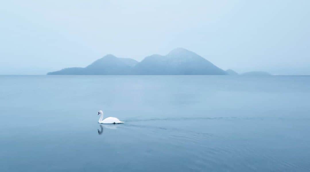 岩倉しおりさんのインスタグラム写真 - (岩倉しおりInstagram)「白鳥の湖。  落ち着いたら会いたい人や行きたいところや見たいものがたくさんある。いつもより何倍も何倍も楽しみに待っておこう。」4月21日 1時33分 - iwakurashiori