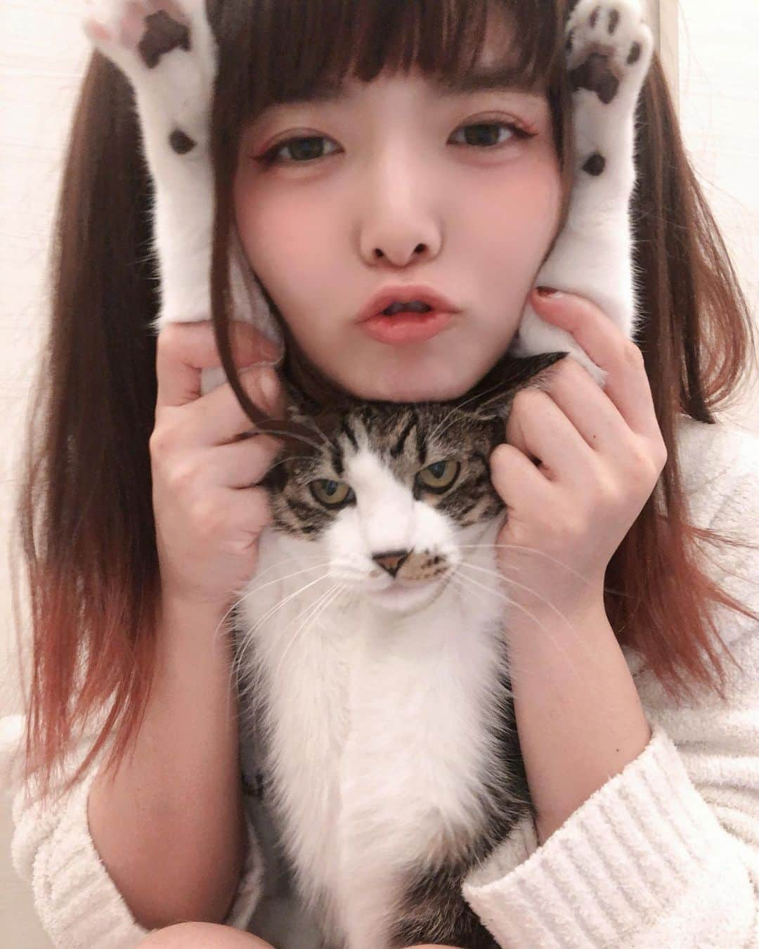 小鳩ミクさんのインスタグラム写真 - (小鳩ミクInstagram)「How have you been doing po?? I always stay at home with my cat po🕊 #stayhomestaysafe  This is what's most important po🕊 お家にいることが 自分も周りもまもるっぽ。」4月21日 2時45分 - kobatomiku