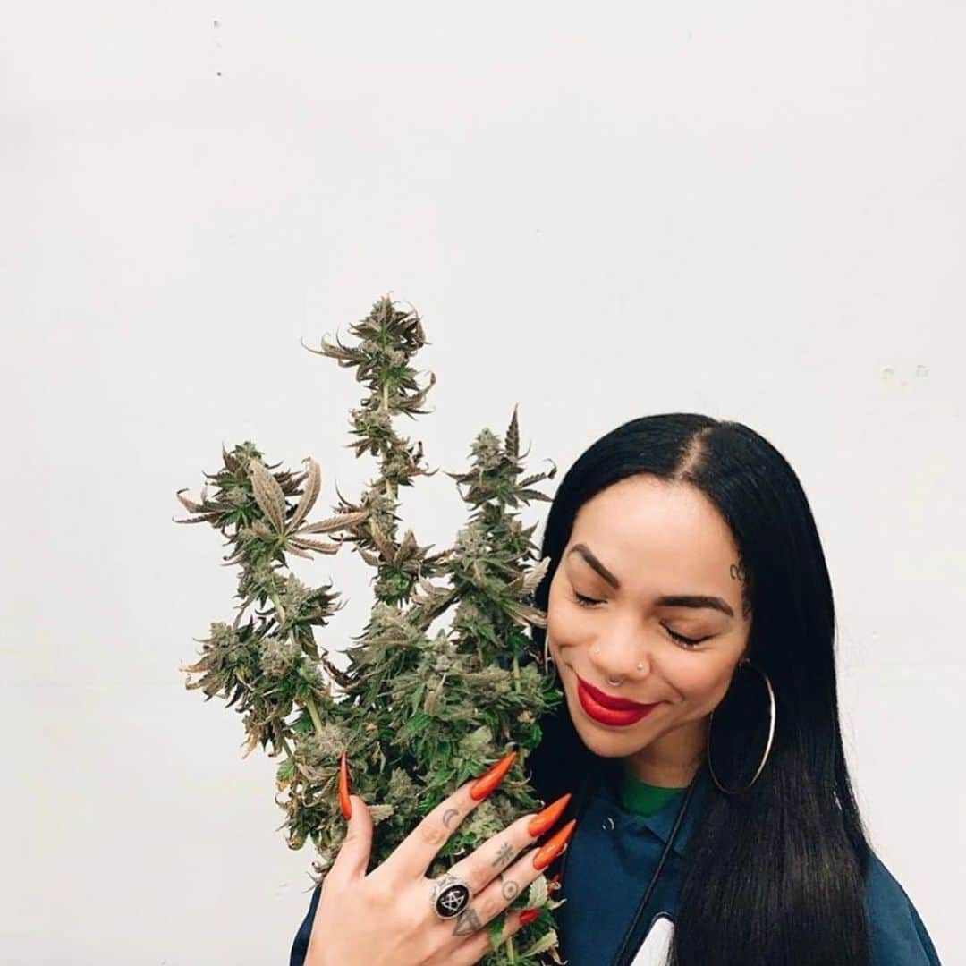 アレックスストリーターさんのインスタグラム写真 - (アレックスストリーターInstagram)「Smoke ‘em if you got ‘em! #Happy420 from our favorite L.A. Bruja @thehoodwitch 💚  #LosAngeles #LA #420 #420ready #thehoodwitch」4月21日 4時16分 - alexstreeternyc