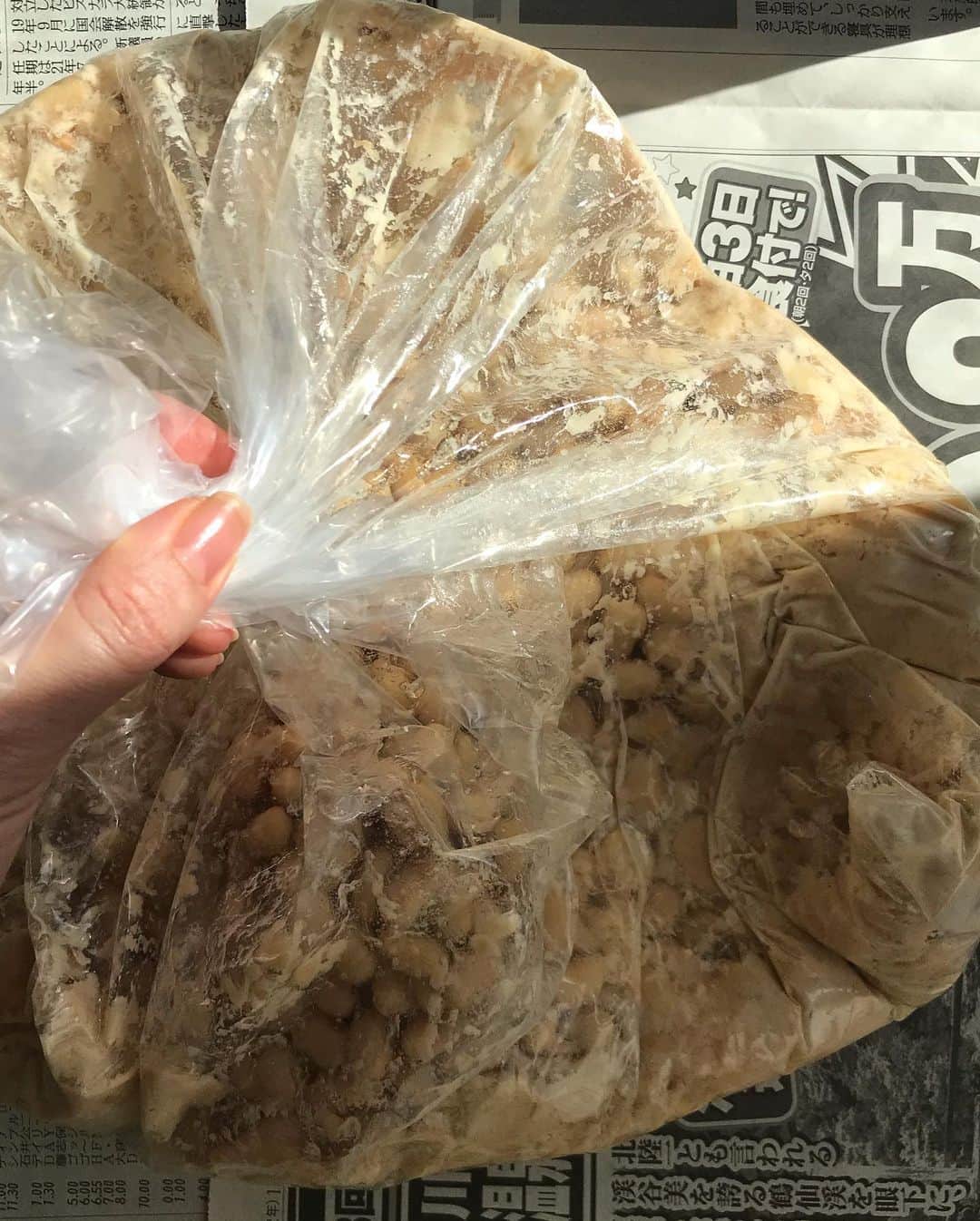 芦田桂子さんのインスタグラム写真 - (芦田桂子Instagram)「今年も無事、手前味噌を仕込み終えました〜！ 無添加の自家製味噌は本当に美味しいんです😋 ・ 2018年に引き続き愛知県豊田市の #桝塚味噌 さんの #みその学校 に参加 今回は米味噌仕込みを Zoomを使って教えて頂きました ・ 別カメラで桝塚味噌さんの蔵内を案内、製造中の樽を見せてくださったり Zoomだから出来る遠隔教室はなかなか面白かったな〜！ ・ 先ずは水煮大豆を体重をかけてしっかり潰すんだけどかなり重労働.... 疲れるので未開封のバルサミコ酢のビンを使って潰してると何処からかバルサミコ酢が漏れ出すという惨事に😆 ....気を取り戻し ・ 米麹と塩を混ぜた塩きり麹を混ぜ、更にたね味噌をしっかり混ぜます 今回もたね味噌は頂きましたが次回自分で作る時は自家製のものを使って『うちの味噌』を永く造り続けていきたいな ・ しっかり混ざったら団子状にして容器に投げつけるように空気を抜きながら詰めていく 最後は中央が高くなるように形を整えて塩をふります 実はこの塩、日枝神社にお供えした特別な御塩なんです 気持ちも清らかに仕込みましたよ✨ ・ 最後は重石をして保管場所の温度にもよるけど4ヶ月〜の発酵、熟成させます きっとおいしく出来上がってくれると思います 楽しみだぁ〜❤️ ・ ・ #手前味噌  #自家製味噌作り  #手前みそのススメ  #みその学校  #桝塚味噌 #ありがとうございました #米味噌 #発酵食 #腸活 #麹菌パワー  #美容食 #食べるスキンケア  #日本の伝統食は大切にしたい #model #芦田桂子」4月21日 14時59分 - keiko_ashida