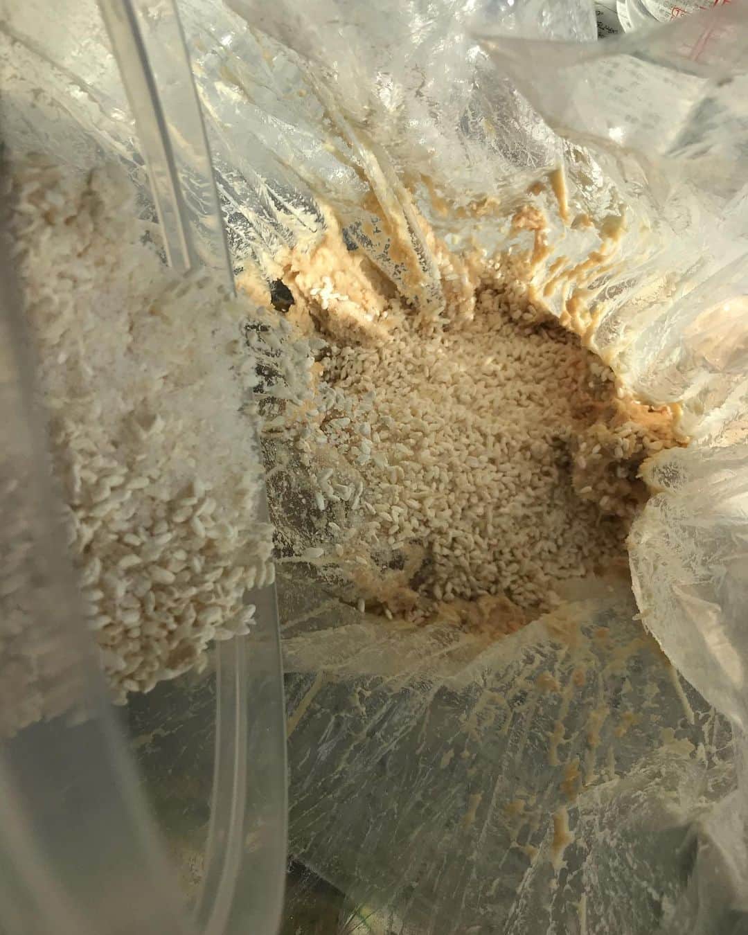 芦田桂子さんのインスタグラム写真 - (芦田桂子Instagram)「今年も無事、手前味噌を仕込み終えました〜！ 無添加の自家製味噌は本当に美味しいんです😋 ・ 2018年に引き続き愛知県豊田市の #桝塚味噌 さんの #みその学校 に参加 今回は米味噌仕込みを Zoomを使って教えて頂きました ・ 別カメラで桝塚味噌さんの蔵内を案内、製造中の樽を見せてくださったり Zoomだから出来る遠隔教室はなかなか面白かったな〜！ ・ 先ずは水煮大豆を体重をかけてしっかり潰すんだけどかなり重労働.... 疲れるので未開封のバルサミコ酢のビンを使って潰してると何処からかバルサミコ酢が漏れ出すという惨事に😆 ....気を取り戻し ・ 米麹と塩を混ぜた塩きり麹を混ぜ、更にたね味噌をしっかり混ぜます 今回もたね味噌は頂きましたが次回自分で作る時は自家製のものを使って『うちの味噌』を永く造り続けていきたいな ・ しっかり混ざったら団子状にして容器に投げつけるように空気を抜きながら詰めていく 最後は中央が高くなるように形を整えて塩をふります 実はこの塩、日枝神社にお供えした特別な御塩なんです 気持ちも清らかに仕込みましたよ✨ ・ 最後は重石をして保管場所の温度にもよるけど4ヶ月〜の発酵、熟成させます きっとおいしく出来上がってくれると思います 楽しみだぁ〜❤️ ・ ・ #手前味噌  #自家製味噌作り  #手前みそのススメ  #みその学校  #桝塚味噌 #ありがとうございました #米味噌 #発酵食 #腸活 #麹菌パワー  #美容食 #食べるスキンケア  #日本の伝統食は大切にしたい #model #芦田桂子」4月21日 14時59分 - keiko_ashida
