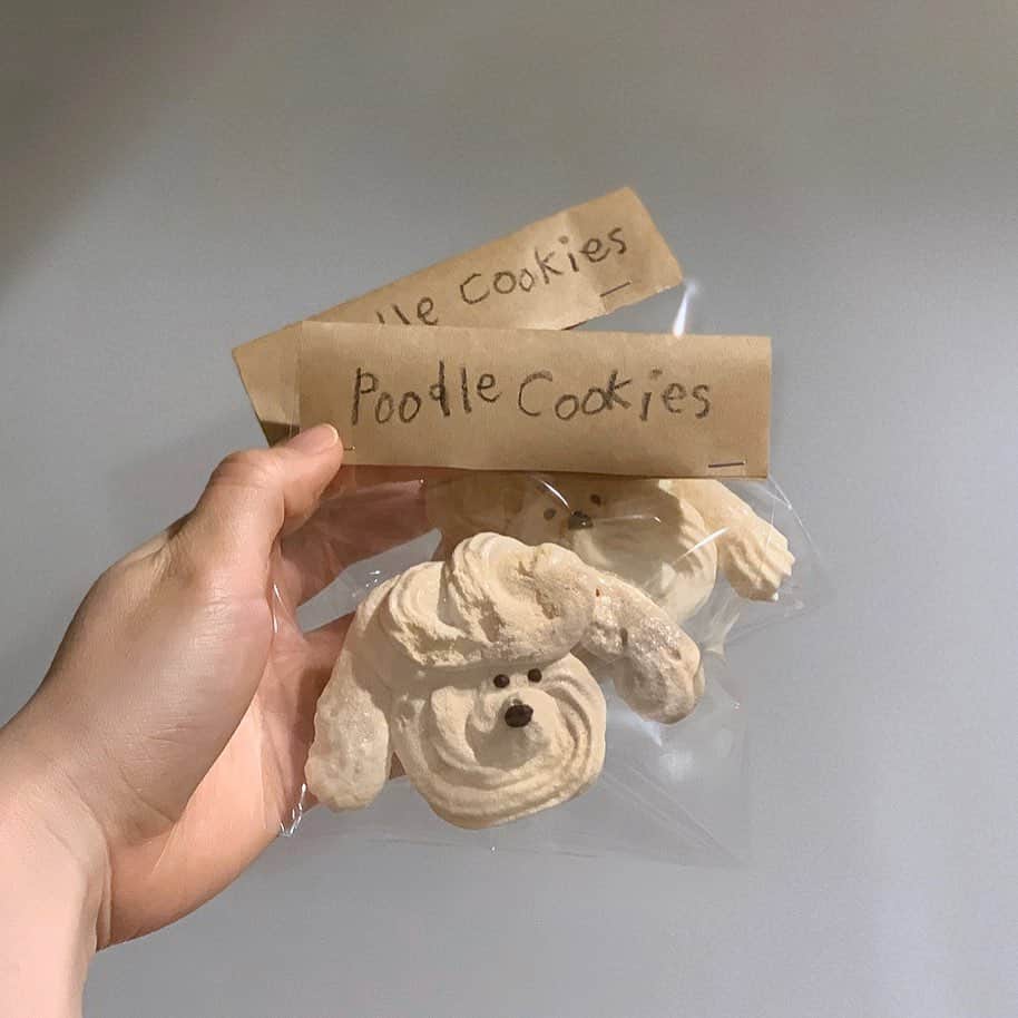 k i ｒa r a のインスタグラム：「𝙿𝚘𝚘𝚍𝚕𝚎 𝙲𝚘𝚘𝚔𝚒𝚎𝚜🐩﻿ ﻿ 初めて作った﻿ メレンゲクッキー🍪﻿ ﻿ サクサクでおいしい🐶♥」